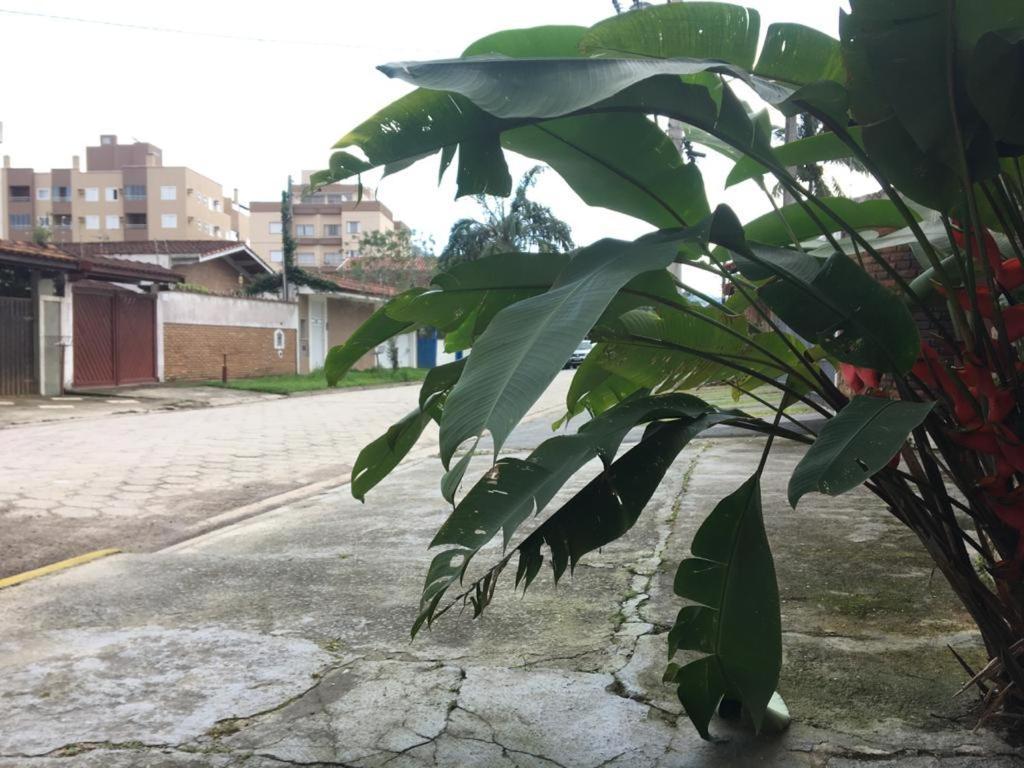 Efferus Hostel Ubatuba Buitenkant foto